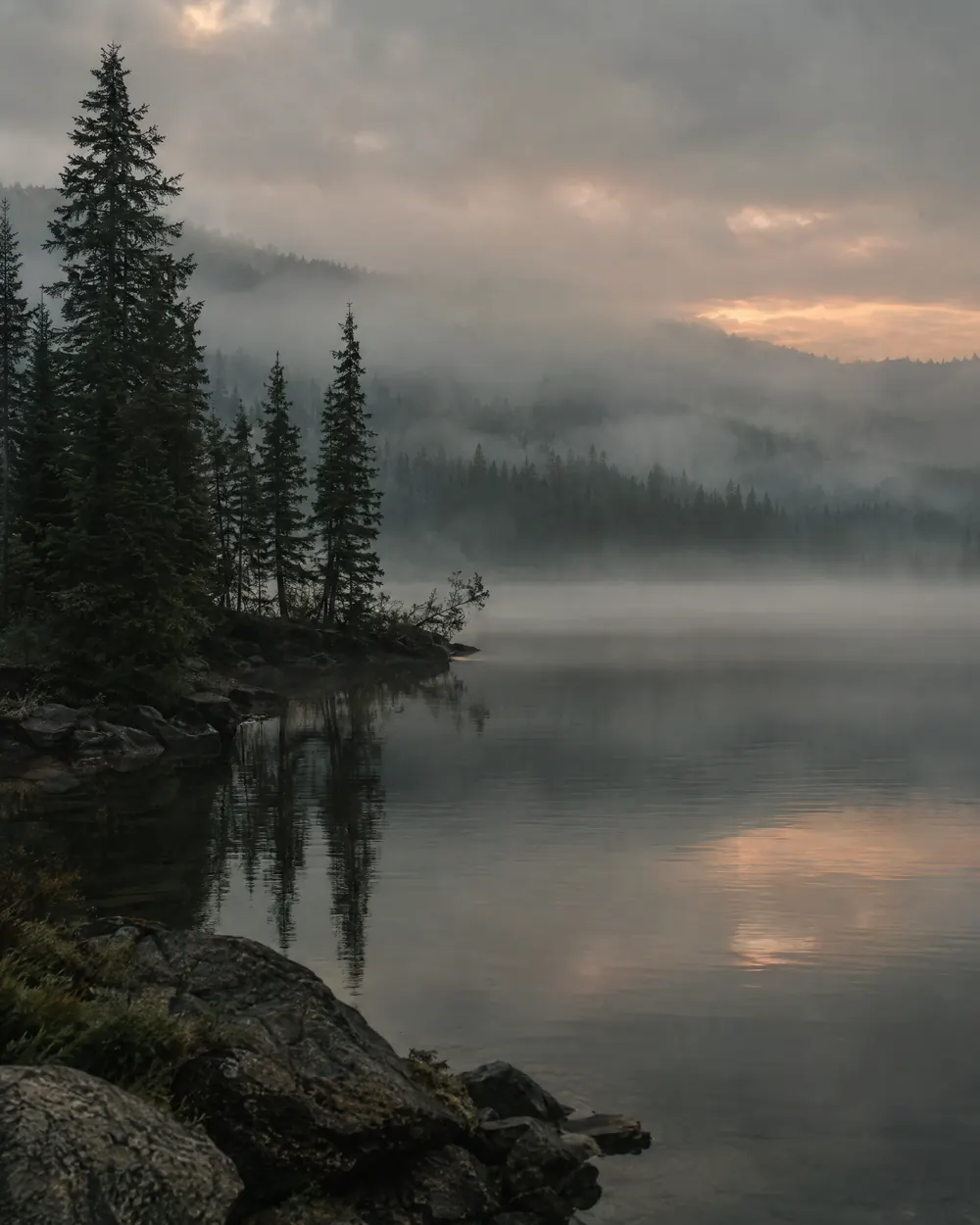 Nebliger Waldsee im Morgenlicht